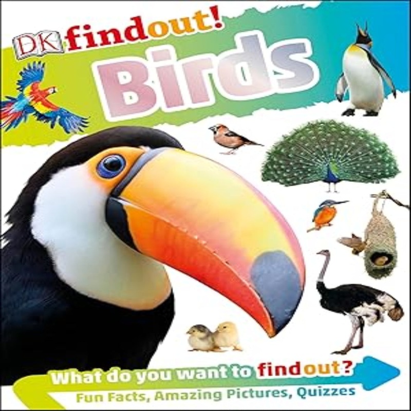 Findout! Birds