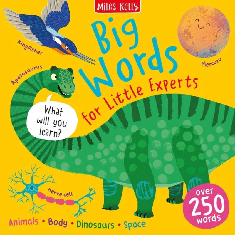 Miles Kelly Book For Little Experts