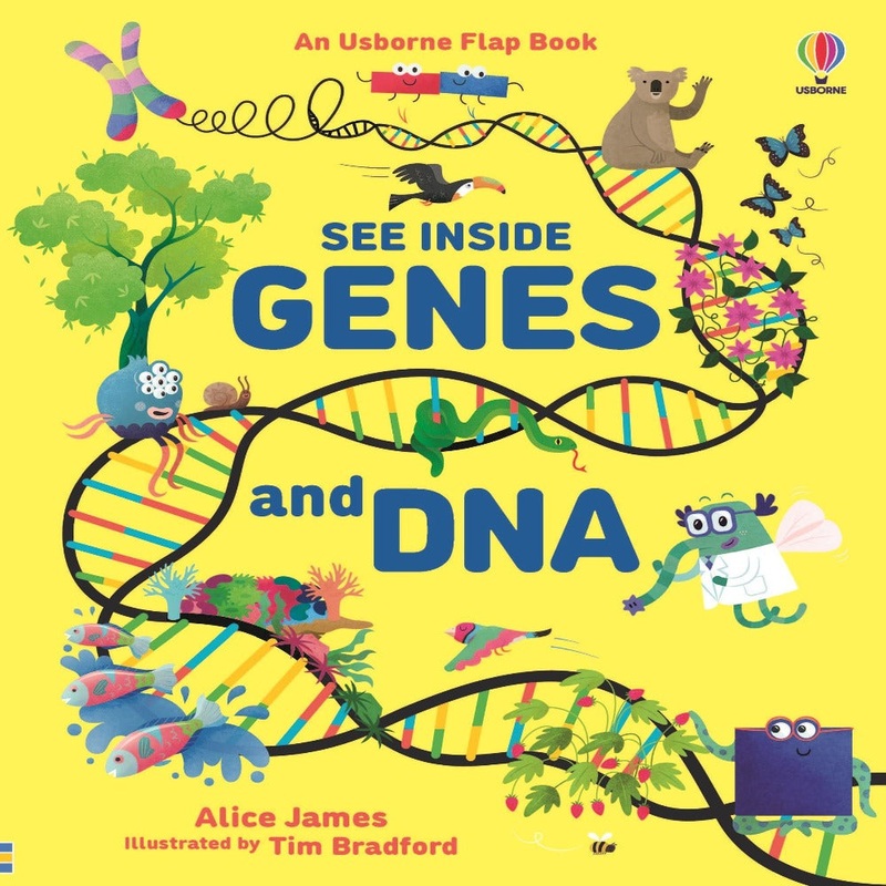 An Usborne Flap Book See Inside Genes And Dna