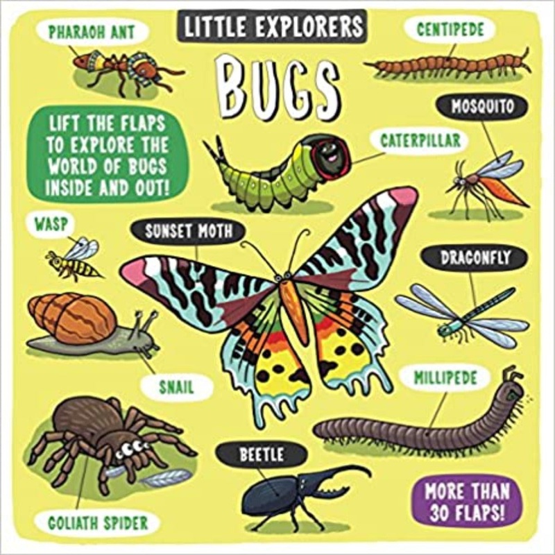 Little Explorers|Little Explorers – Bugs|Little Explorers – Maths|Little Explorers – Science|Little Explorers: The Farm|Little Explorers: In The Rainforest|Little Explorers : Animal World|Little Explorers: When I Grow Up|Little Explorers Dinosaurs