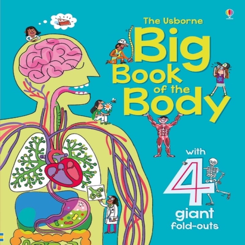 The Usborne Big Book Of The Body