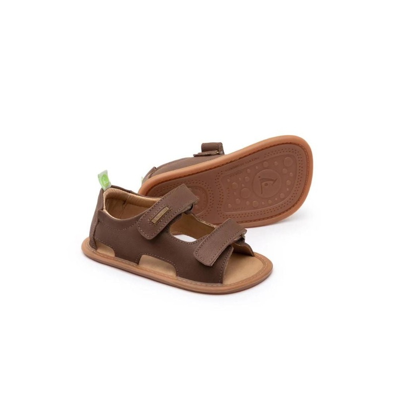 Tip Toey Joey Explore – Old Brown