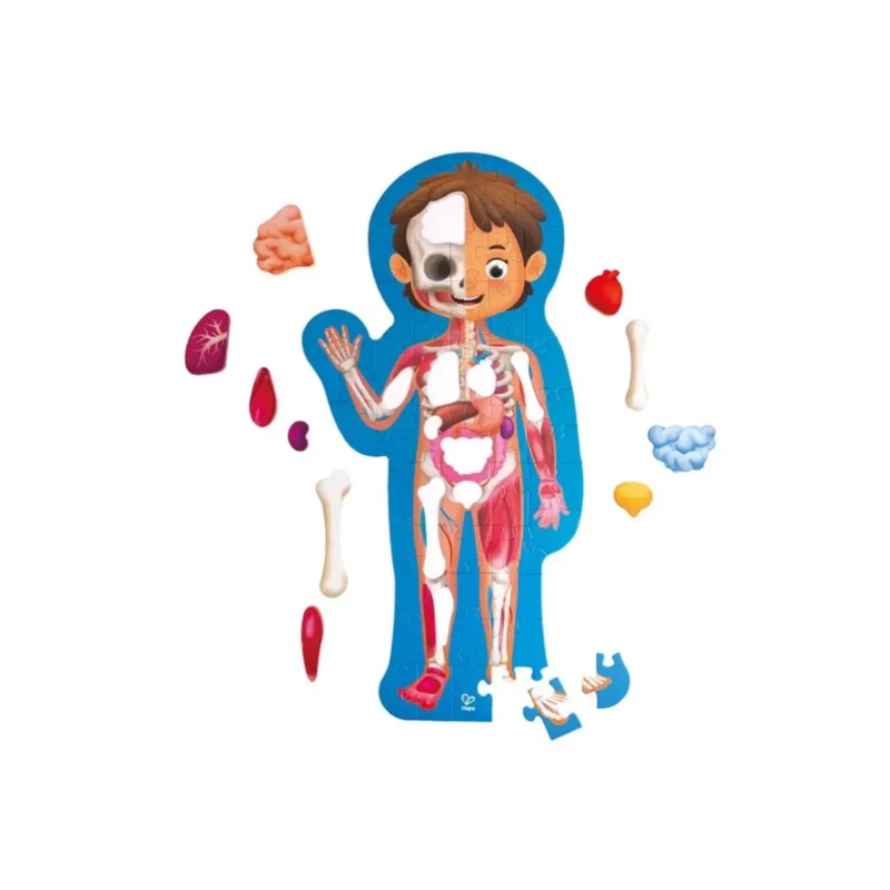 Hape Human Body Puzzle
