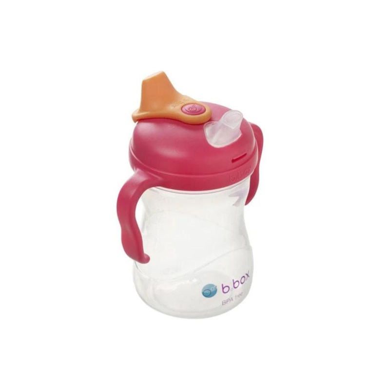 B.Box Spout Cup