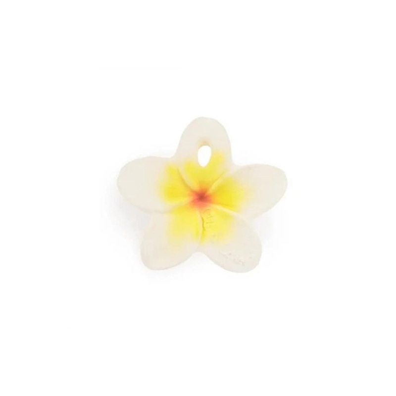 Oli&Carol  Chewy-to-Go Hawaii the Flower