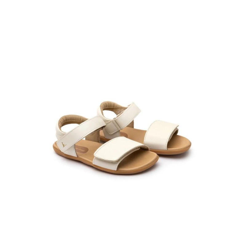 Tip Toey Joey Rover – Tapioca