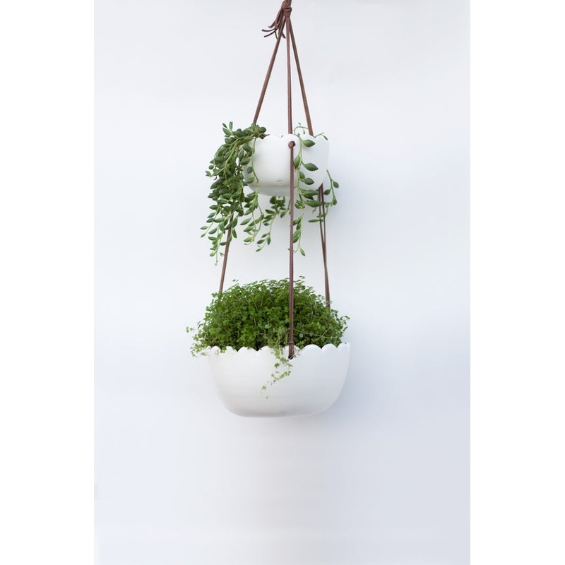 Wall Planter