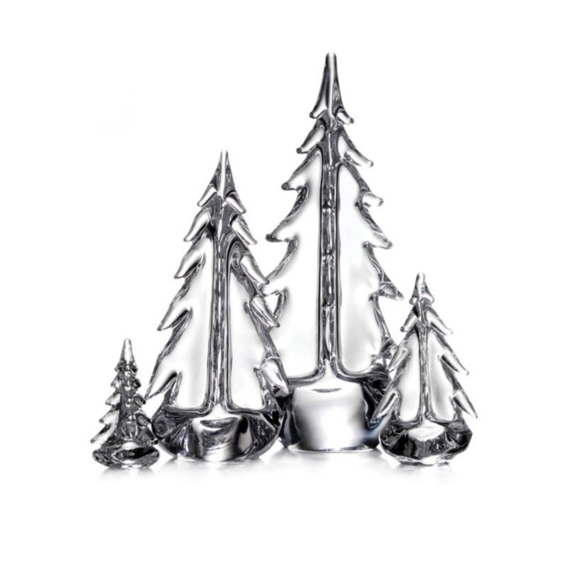 Young Evergreen Grove S97419116