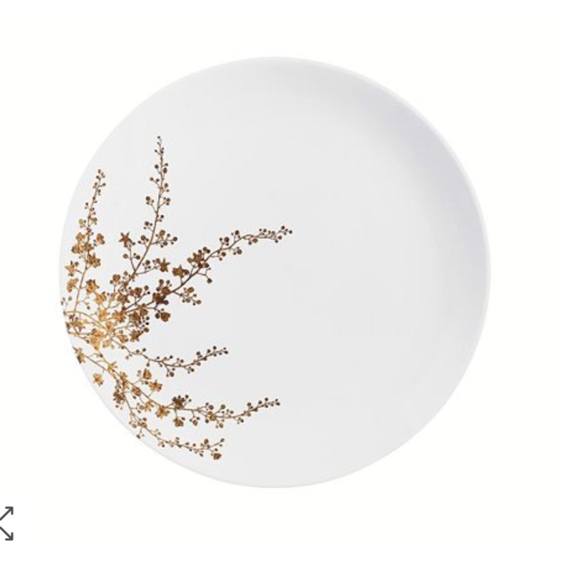Vera Jardin Dinner Plate