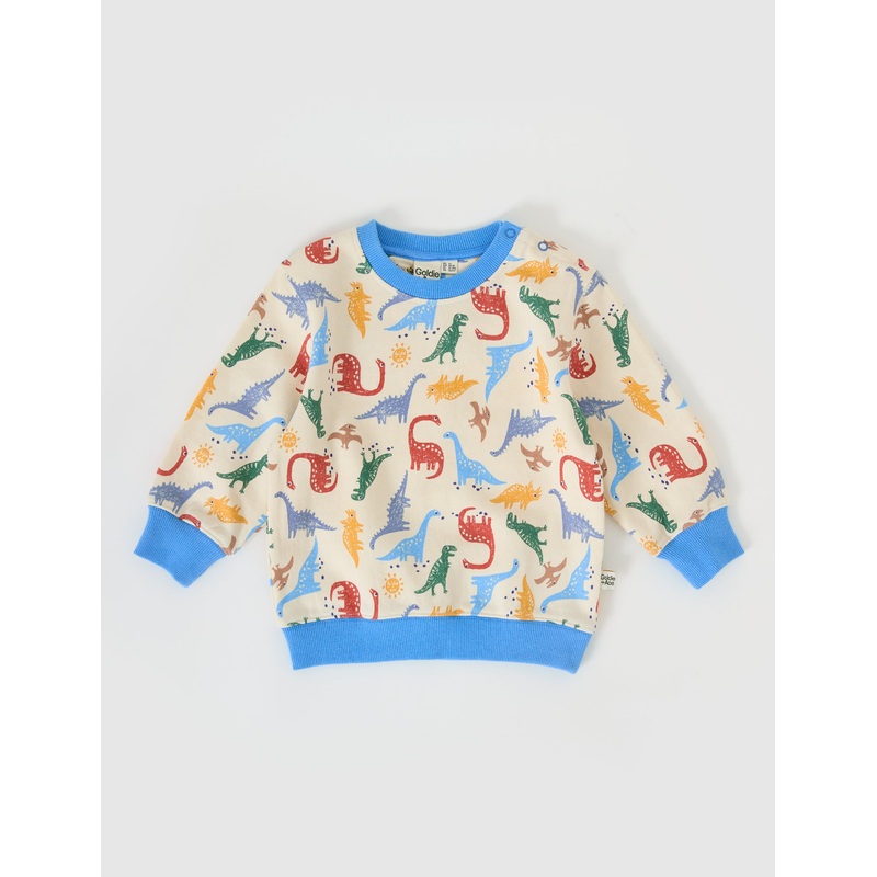DINO-MITE RELAXED TERRY SWEATER