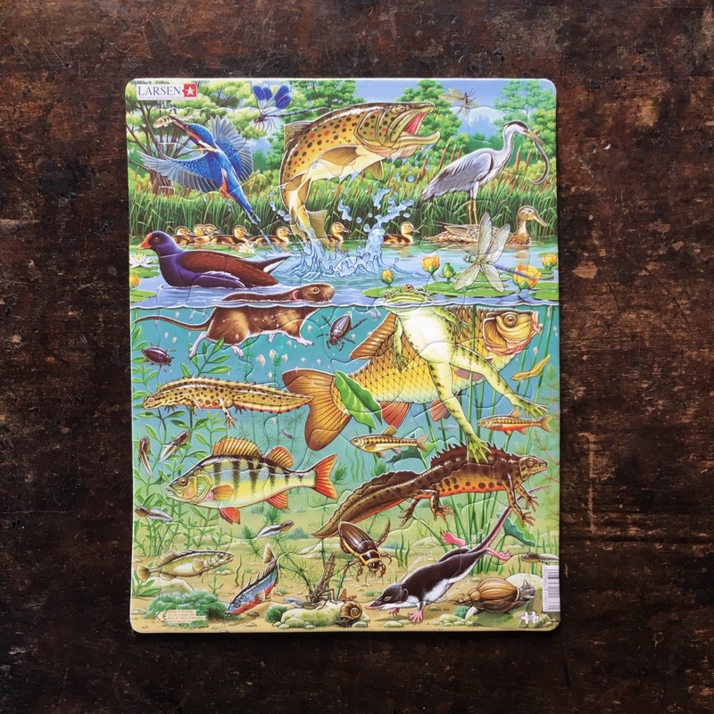 Thick Cardboard Puzzle 50 pieces – Pond Wildlife
