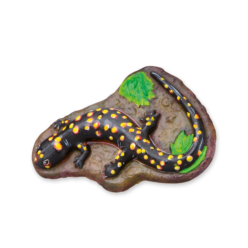 SES Creative Casting and Painting – Scary animals