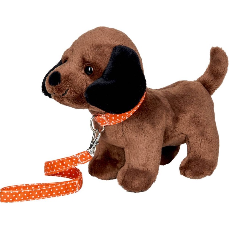 Welpe Bonito mit Leine – Lustige Tiere