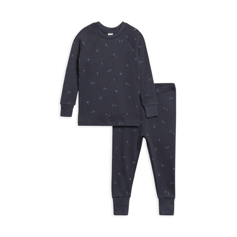 Colored Organics – 2 Piece Long Sleeve Jammie Set Cactus/Navy + Teal 12-18m