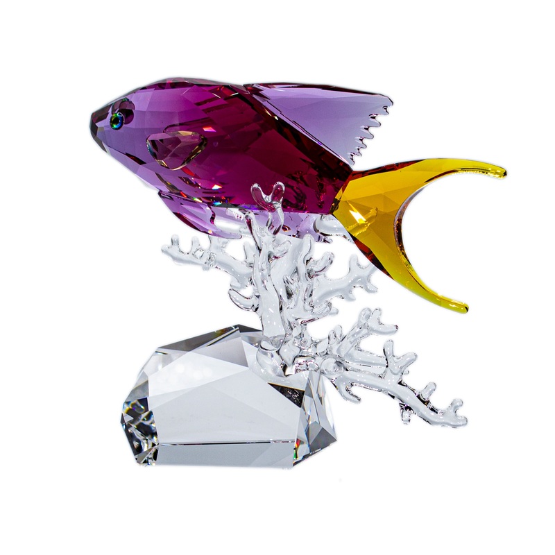 Swarovski Figurine: 5494699 Paradise Anthias Fish