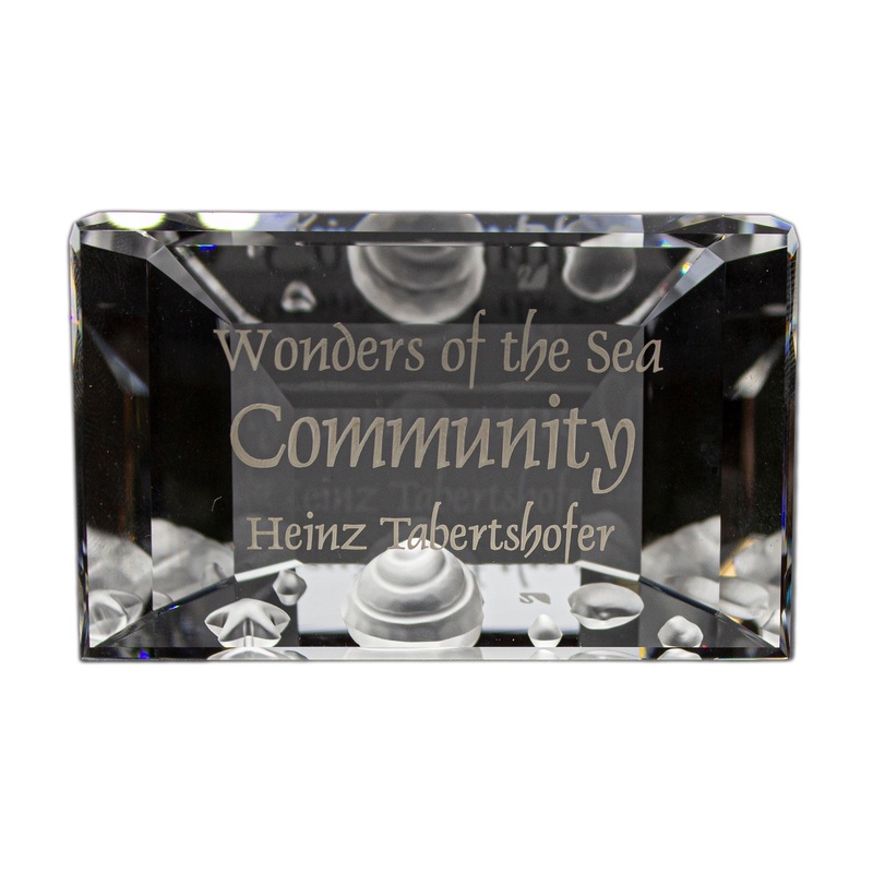 Swarovski Figurine: 898130 Community Title Plaque