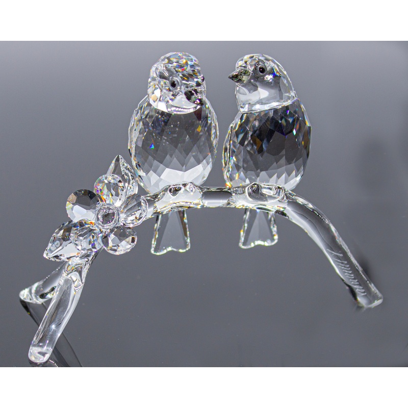 Swarovski Figurine: 5249843 White-Eyes