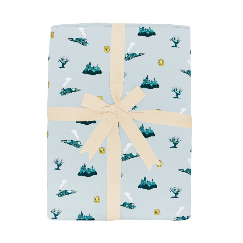 Youth Blanket in Journey 2.5