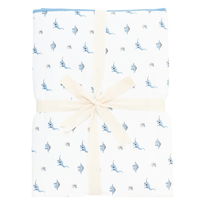 Youth Blanket in Jurassic 1.0