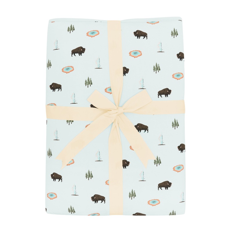 Youth Blanket in Yellowstone 2.5