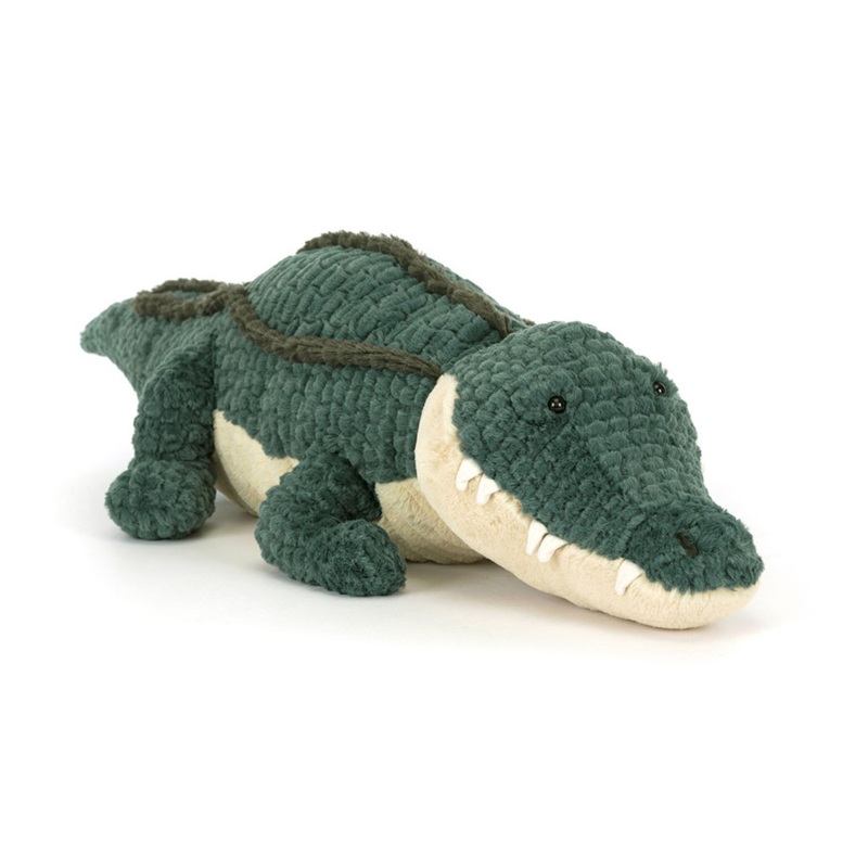 Allexi Alligator