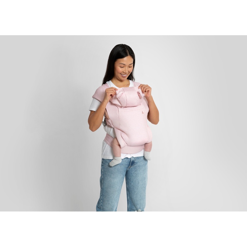 babyGap Legacy Baby Carrier