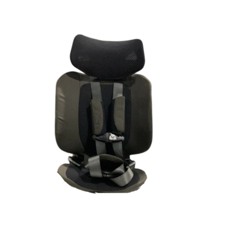 WAYB Pico Portable Car Seat, 2022, Earth