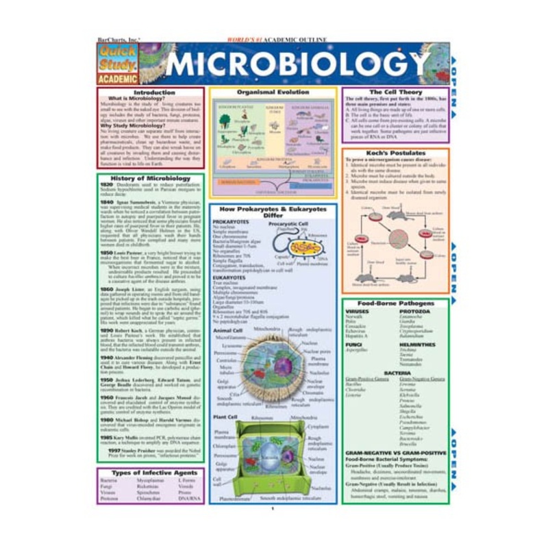 QuickStudy: Microbiology