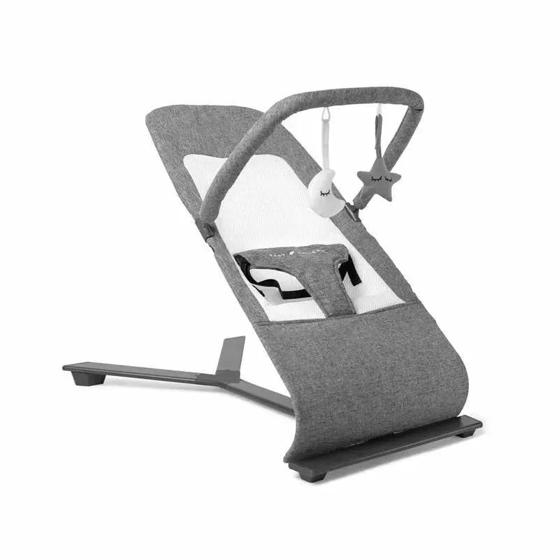 Baby Delight – Alpine Deluxe Portable Bouncer, 0-6 months, Charcoal Tweed