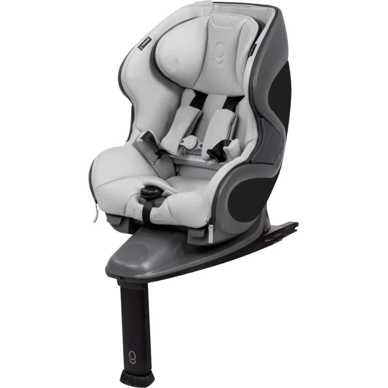 Babyark – Classic Convertible Car Seat, Charcoal Grey/Glacier Ice