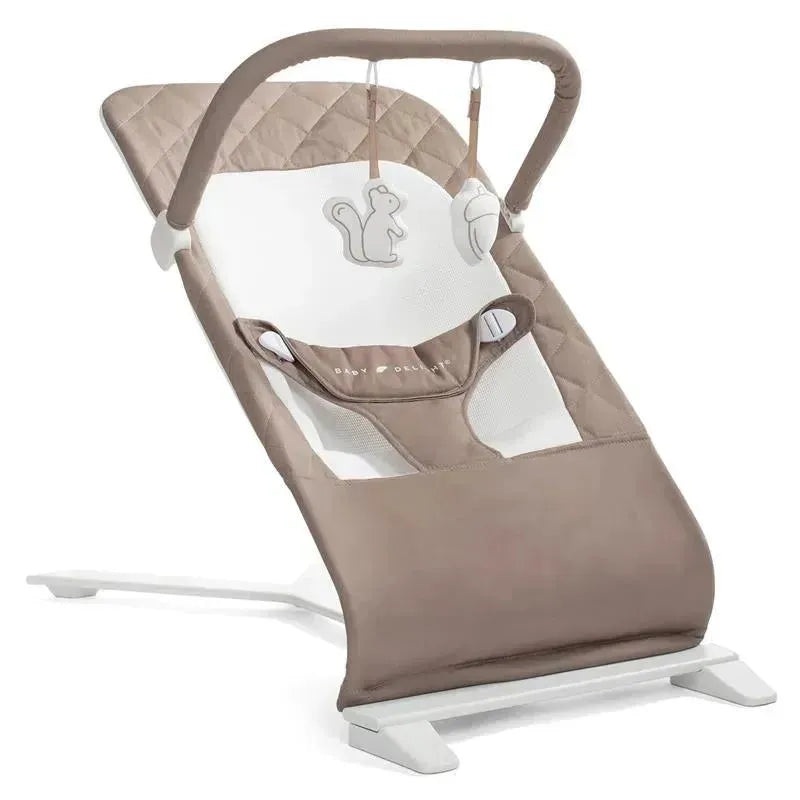 Baby Delight – Alpine Deluxe Portable Bouncer, 0-6 months, Organic Mocha