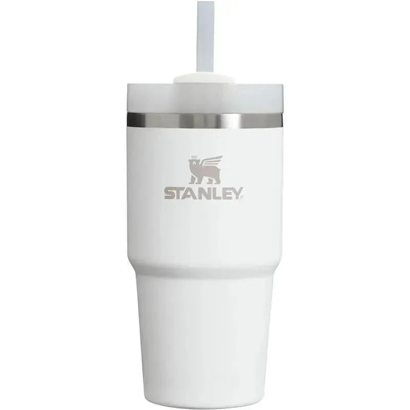 Stanley – 20Oz Quencher H2.0 FlowState Stainless Steel Vacuum Insulated Tumbler, Frost