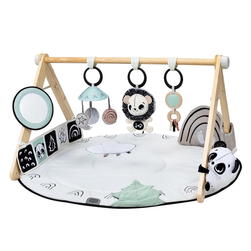 Tiny Love – Black & White Gymini