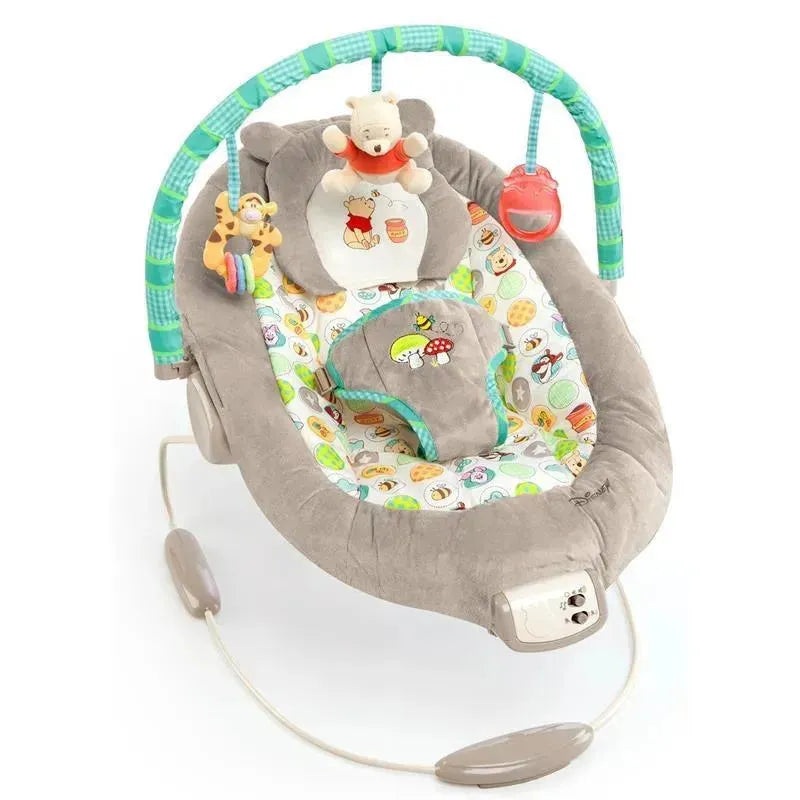 Disney Baby Winnie The Pooh Bouncer, Dots & Hunny Pots