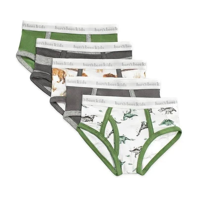 Burts Bees – 5Pk Happy Herbivores & Lions Underwear
