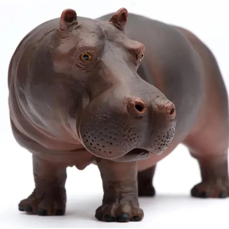 Safari Ltd. – Wild Safari Wildlife Hippopotamus
