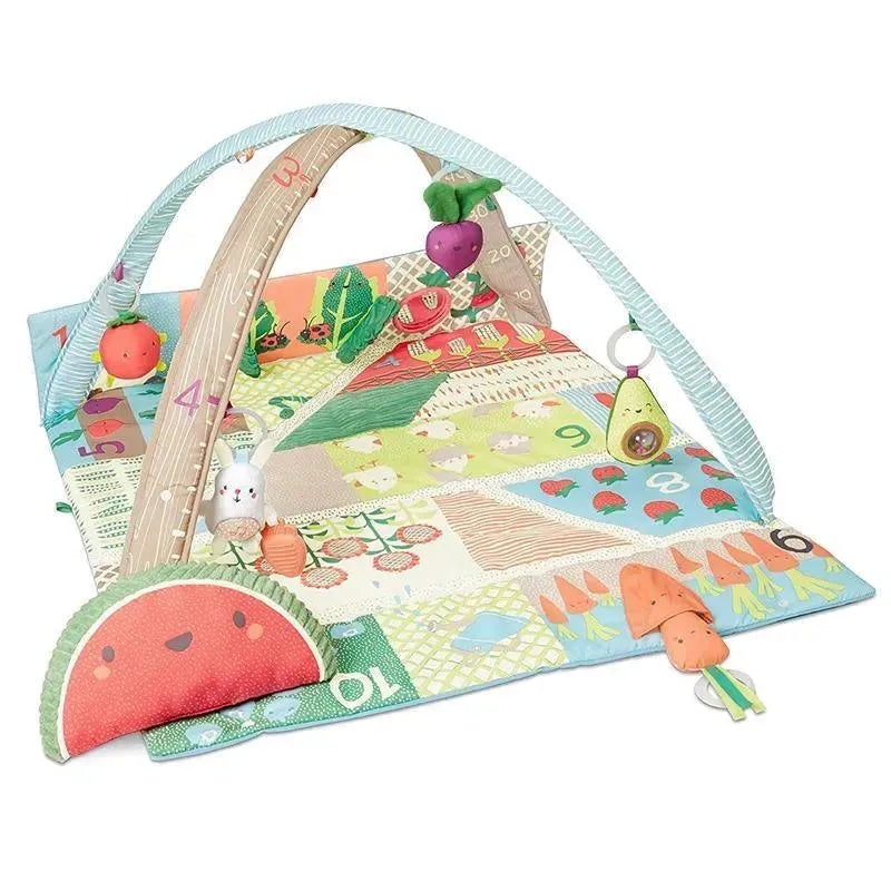 Skip Hop – Farmstand Activity Gym, Colorful Garden